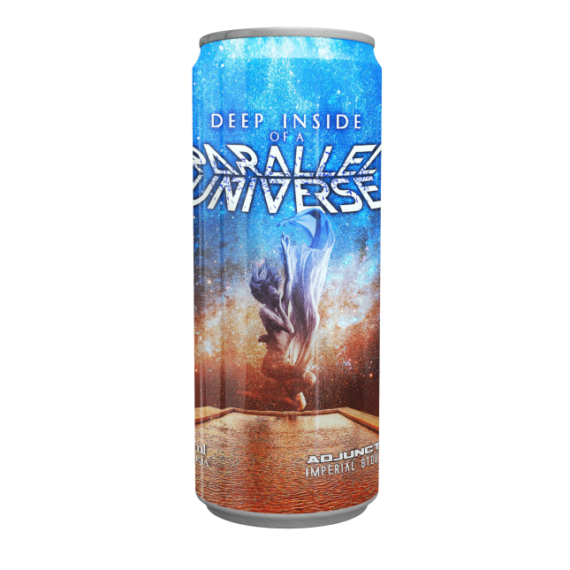 Deep Inside of a Parallel Universe